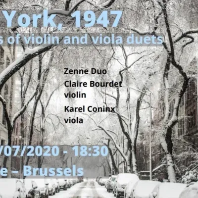 Festival spontane concert deconfine 2020 15