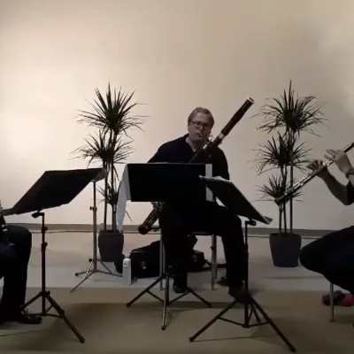 Festival spontane concert deconfine 2020 17