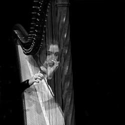 Roberta BRAMBILLA - Harpe